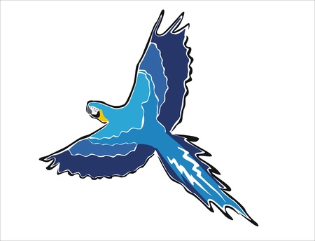 drawing of a blue macaw flyingのイラスト素材