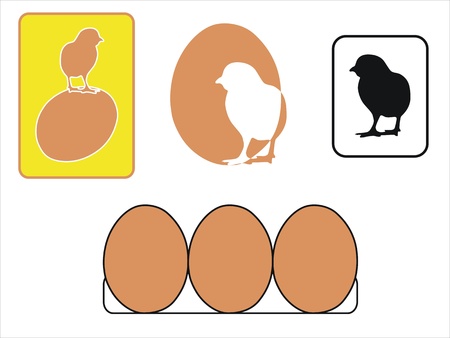 several icons about chikens and eggsのイラスト素材