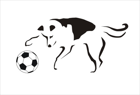 dog playing with a soccer ballのイラスト素材