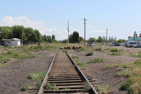 Rail-train infrastructure in countryside.の写真素材
