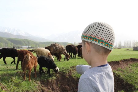 View of boy and sheep in village.の写真素材