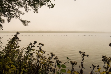 The lake viewの写真素材