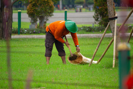 A man is working on cleaning the garden using a hoeの写真素材
