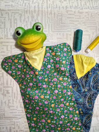 A fabric frog with a rubber head. For the puppet theater.の写真素材