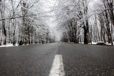 Snowy road in winter. Black and white colors of nature. Snowy forest. Gabala - Azerbaijanの写真素材