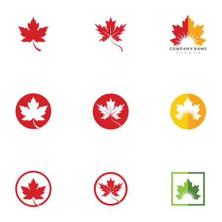 Maple leaf vector icon. Maple leaf vector illustrationのイラスト素材
