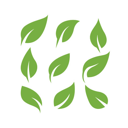 Nature leaf icon logo vector templateのイラスト素材