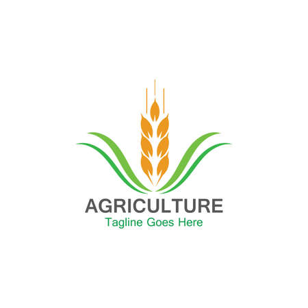 Agriculture wheat logo template icon designのイラスト素材