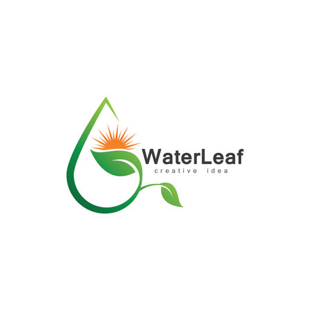Creative Drop Water and Leaf Concept Logo Design Templateのイラスト素材