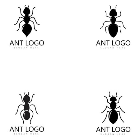 ant logo template vector illustration designのイラスト素材