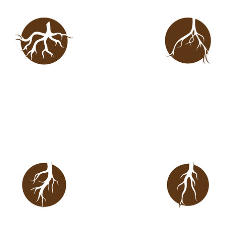 Root vector illustration template designのイラスト素材