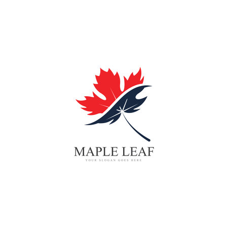 maple leaf logo template vector icon illustration  maple leaf vector illustration  canadian vector symbol  red maple leaf  canadian symbol  red canadian maple leafのイラスト素材