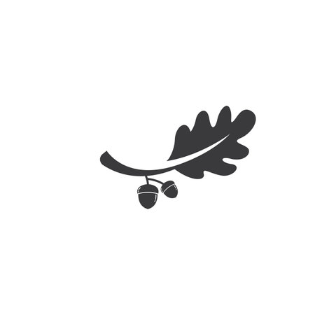 oak acorn vector illustration design templateのイラスト素材