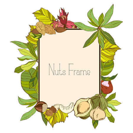 Rectangle frame with nuts and leaves, in colorのイラスト素材