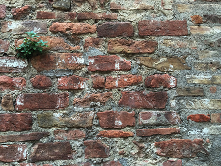 Aged brick wall, stone antique background, textureの写真素材
