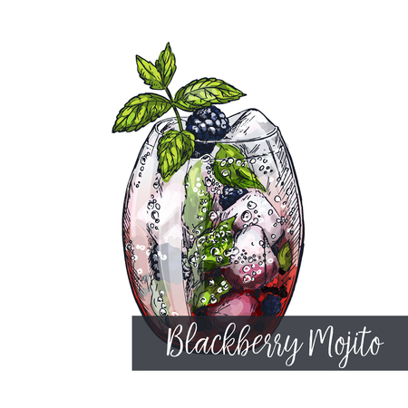 Blackberry mojito cocktail, colorful realistic sketch vector illustrationのイラスト素材