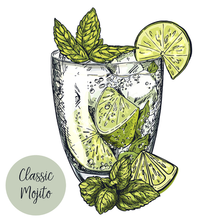 Cute card design with hand-drawn vector colorful sketch illustration of mojito cocktail, lime slices and mint leavesのイラスト素材