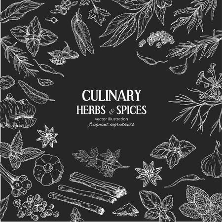 Chalk frame composed of drawn herbs and spices on black background, vector illustrationのイラスト素材