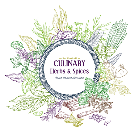 Round rope  banner surrounded by colored sketch herbs and spices, vector illustrationのイラスト素材