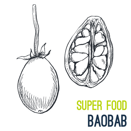Baoab. Super food hand drawn sketch vector illustration.のイラスト素材