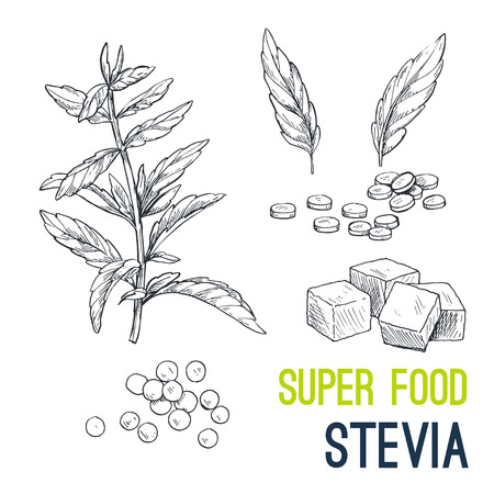 Super food hand drawn sketch vector illustration.のイラスト素材