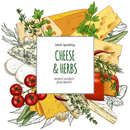 Full color realistic cheese banner, hand drawn vector sketch illustration, poster design for restaurants.のイラスト素材