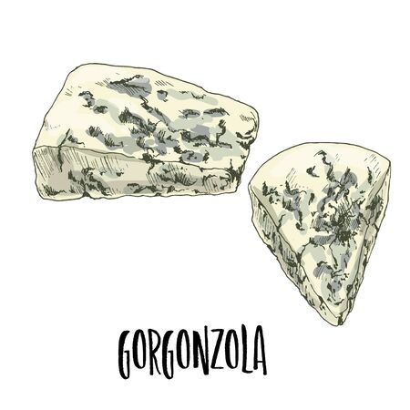Gorgonzola. Full color cheese illustration, vector hand drawn sketch art.のイラスト素材