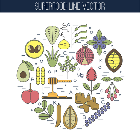 Color superfood line icons, round composition. Pomegranate, ginger, lucuma, spirulina, kelp, noni, cacao, baobab, blueberry, goji, acerola, honey, avocado, quinoa.のイラスト素材