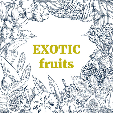 Monochrome realistic drawn exotic fruits, square frame. Hand drawn vector illustration.のイラスト素材