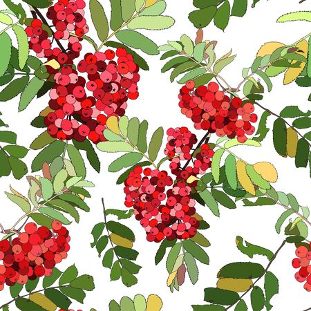 Beautiful color seamless pattern with red berriesのイラスト素材