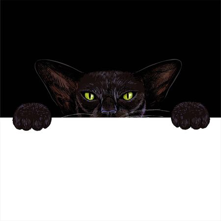 Black oriental cat holding white paper bannerのイラスト素材