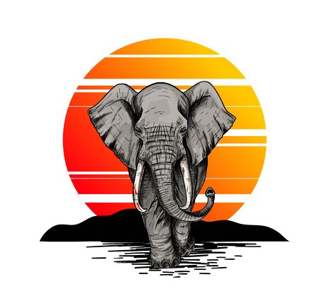 Bic elephant, front view, sunset on the backgroundのイラスト素材