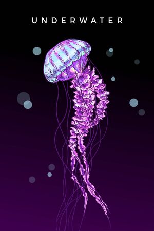 Jellyfish on dark backgrond, the word UNDERWATER is above. Poster, graphic design element, hand...