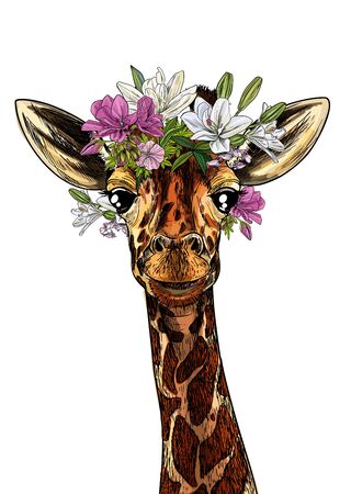 Portrait of cute giraffe with flowers on his headのイラスト素材