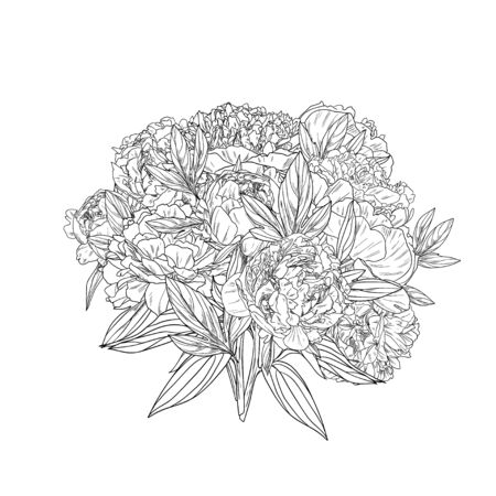 Pink peonies bouquet, ink realistic sketch, hand drawn vector illustrationのイラスト素材