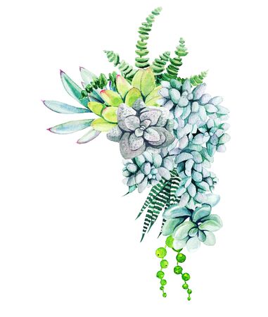 Composition of potted cactus plants and succulents, hand drawn watercolor illustrationの写真素材
