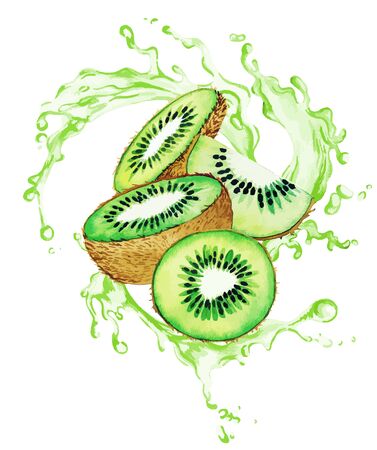 Qiwis and half of qiwi fruits in the splash of green juiceのイラスト素材