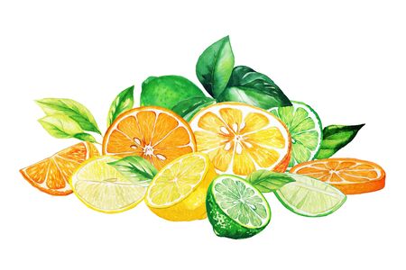 Heap of mixed fruits, hand drawn watercolorの写真素材
