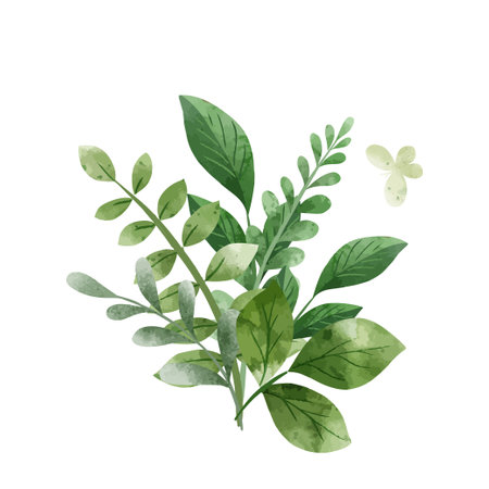 Greenery abstract bouquet, herbs and green leaves.のイラスト素材