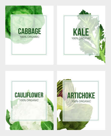 Summer veggies banner, hand drawn vector watercolor illustrationのイラスト素材