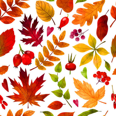 Fall leaves, hand drawn vector watercolor illustrationのイラスト素材