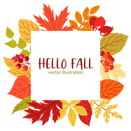 Fall leaves and berries frame, hand drawn flatのイラスト素材