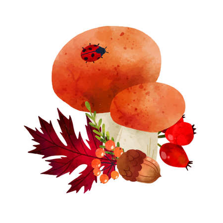 Forest Mushrooms, hand drawn vector watercolor illustrationのイラスト素材