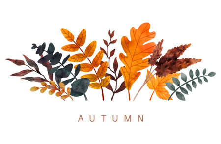 Fall leaves composition, hand drawn vector watercolorのイラスト素材