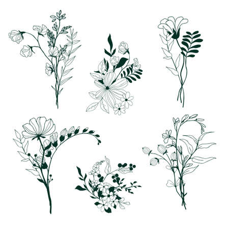 Set of tiny hand drawn floral elementsのイラスト素材
