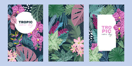 Set of three cards with tropical leavesのイラスト素材