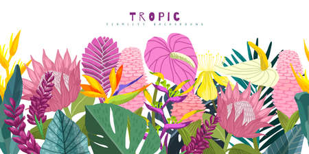 Tropical seamless border, hand drawn vector artのイラスト素材