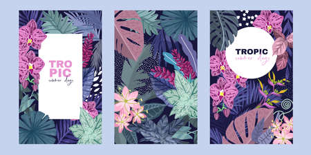 Set of three cards with tropical leavesのイラスト素材