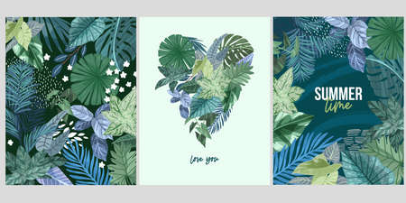 Set of three cards with green tropical leaves,のイラスト素材