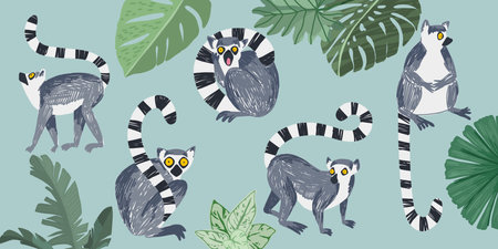 Set of five lemurs and tropical leaves, hand drawnのイラスト素材